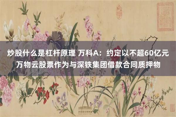 炒股什么是杠杆原理 万科A：约定以不超60亿元万物云股票作为与深铁集团借款合同质押物