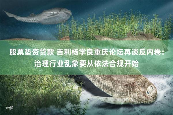 股票垫资贷款 吉利杨学良重庆论坛再谈反内卷：治理行业乱象要从依法合规开始