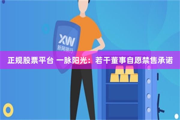 正规股票平台 一脉阳光：若干董事自愿禁售承诺