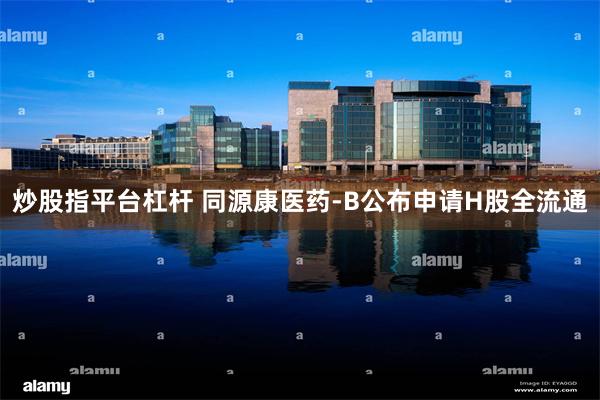 炒股指平台杠杆 同源康医药-B公布申请H股全流通