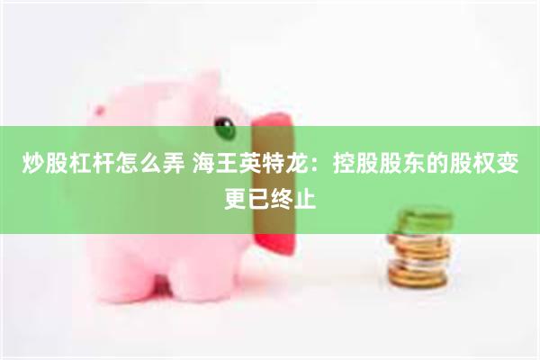 炒股杠杆怎么弄 海王英特龙：控股股东的股权变更已终止