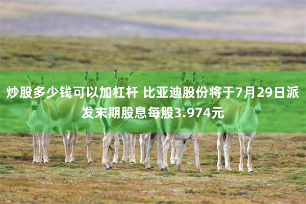 炒股多少钱可以加杠杆 比亚迪股份将于7月29日派发末期股息每股3.974元
