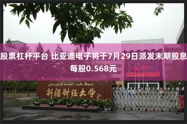 股票杠杆平台 比亚迪电子将于7月29日派发末期股息每股0.568元