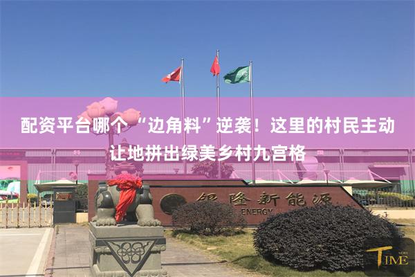 配资平台哪个 “边角料”逆袭！这里的村民主动让地拼出绿美乡村九宫格