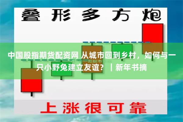 中国股指期货配资网 从城市回到乡村，如何与一只小野兔建立友谊？｜新年书摘