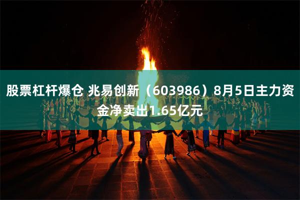 股票杠杆爆仓 兆易创新（603986）8月5日主力资金净卖出1.65亿元